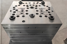 Die- Double Cavity 